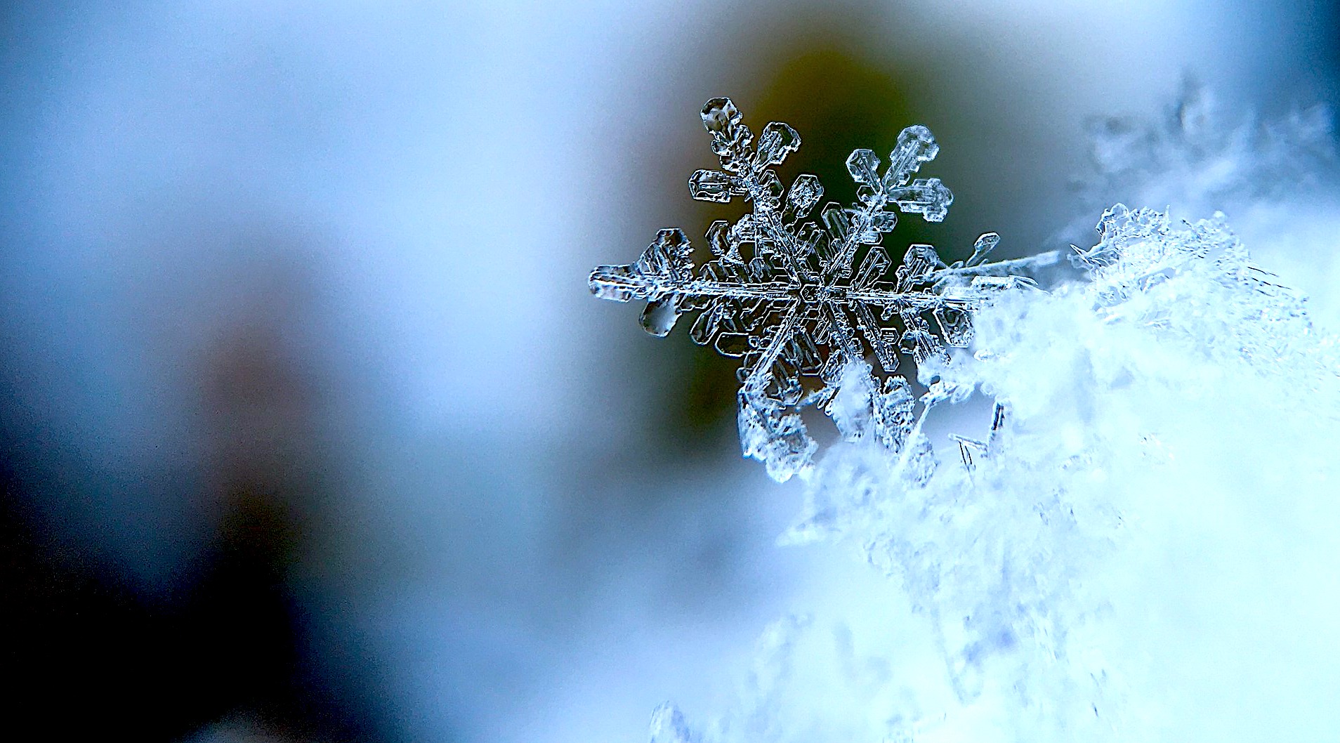 The Scientific Relation Between Water And Thought